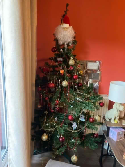 Photo of free 5’ Christmas Tree (Mansfield Woodhouse NG19) #1