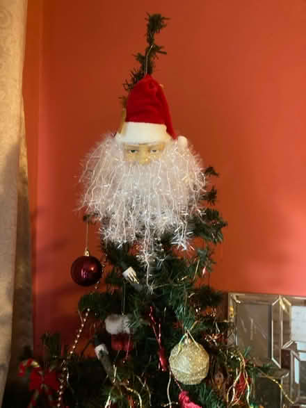 Photo of free 5’ Christmas Tree (Mansfield Woodhouse NG19) #3