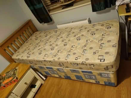 Photo of free Single bed (Branksome Chine BH4) #1