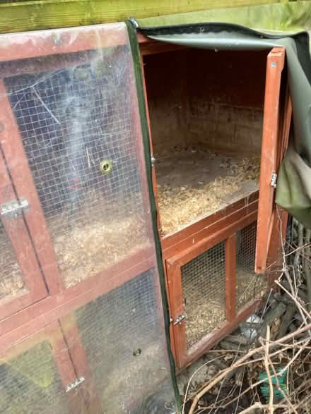 Photo of free Rabbit hutch (Central Norwich) #3