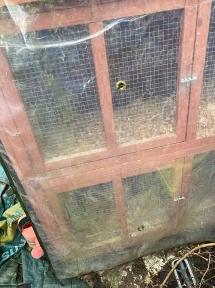 Photo of free Rabbit hutch (Central Norwich) #2