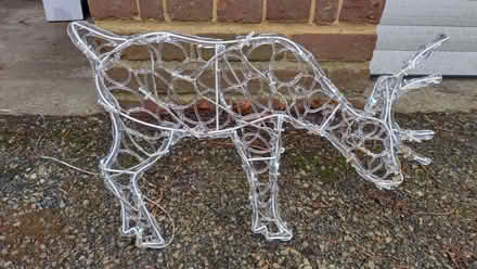 Photo of free Twinkling Reindeer with LED lights (Kenley CR8) #2