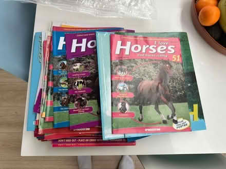 Photo of free Horse magazines (North Petherton) #1