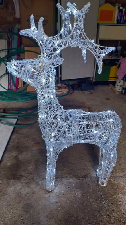 Photo of free Twinkling Reindeer with LED lights (Kenley CR8) #1