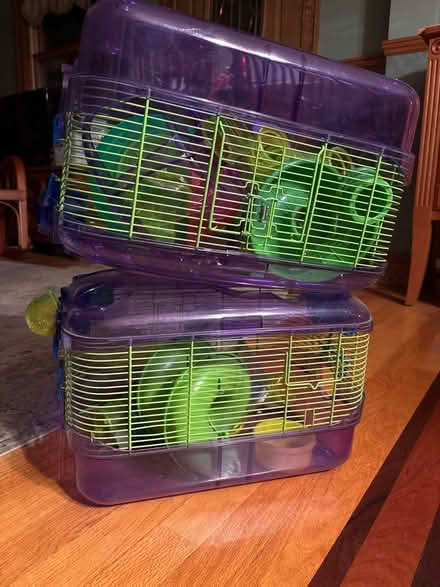 Photo of free Hamster Cages (Chicopee) #1