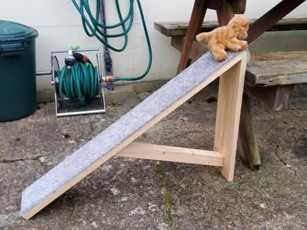 Photo of free Homemade small pet ramp (Redhill RH1) #1