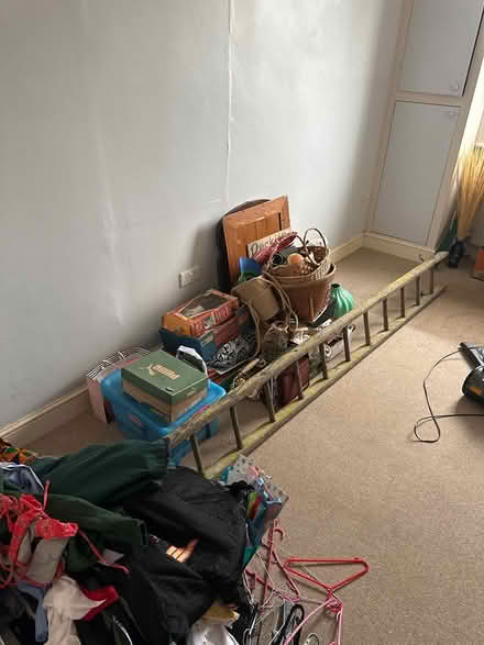 Photo of free Really long wooden ladder (St Leonards) #1