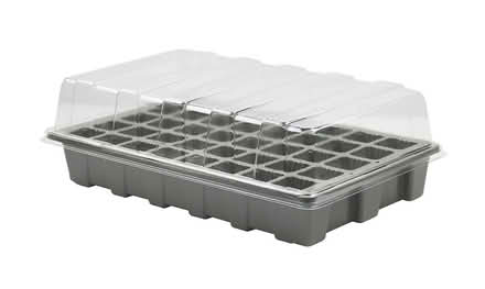 Photo of Seed tray (Chelmsford) #1