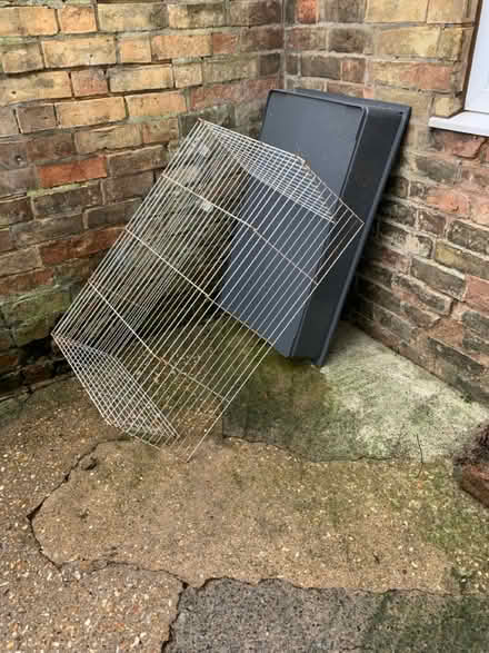 Photo of free 3-4’ indoor cage (Lissington LN3) #1