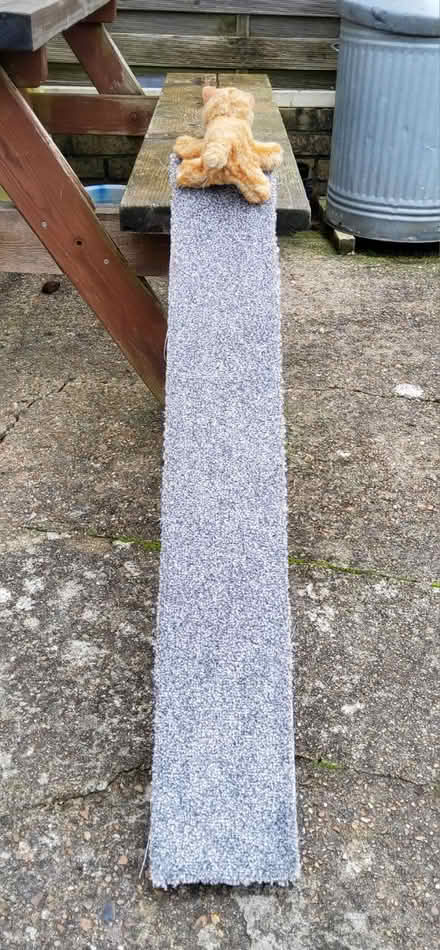 Photo of free Homemade small pet ramp (Redhill RH1) #2