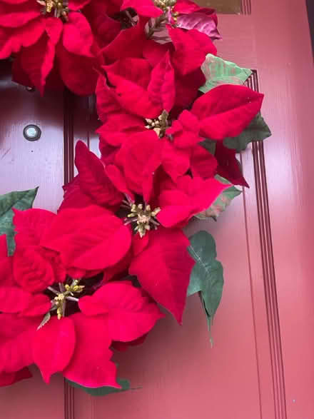 Photo of free Artificial poinsettia wreath (Los Altos) #2