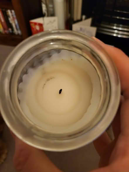 Photo of free Jar candle (Norton Sheffield S8) #3