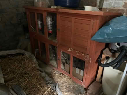 Photo of free Double Guinea pig/rabbit cage (Lissington LN3) #1