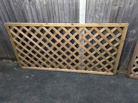 Photo of free Diamond trellis x2 (Welton LN2) #2