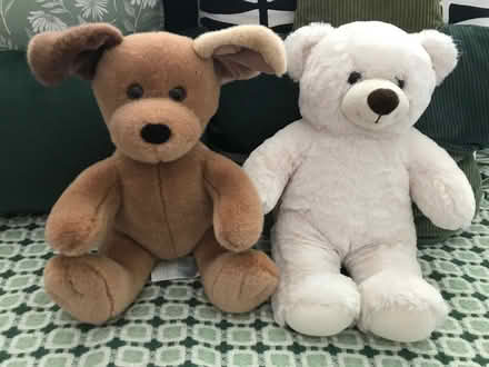 Photo of free 2 x build a bear teddy bears (Barrow upon Soar LE12) #1