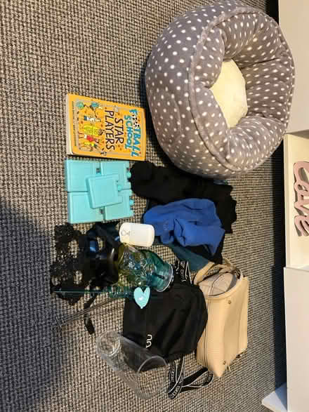 Photo of free Bundle (Axminster) #1