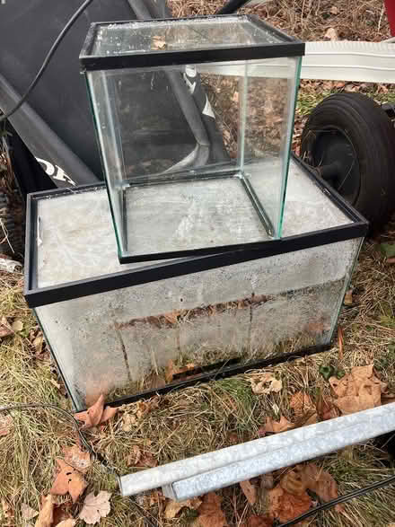 Photo of free Reptile, crab, fish tanks (Woodstock) #2