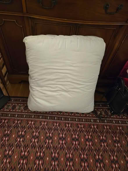 Photo of free Floor pillow or couch cushion (Arlington, virginia) #1