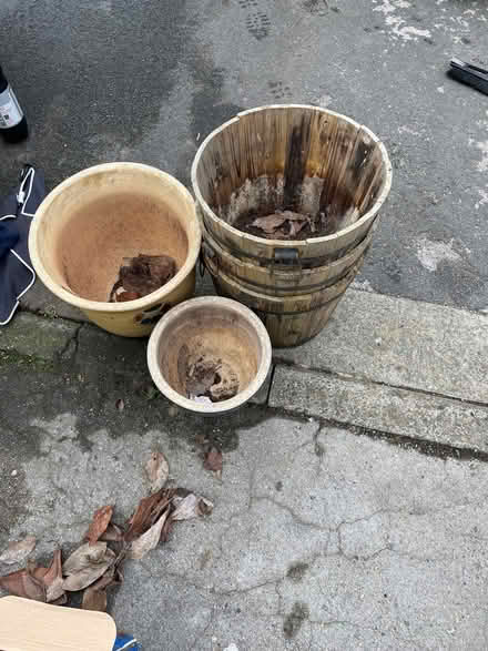 Photo of free Planter / pots (WF3 Stanley Wakefield) #1