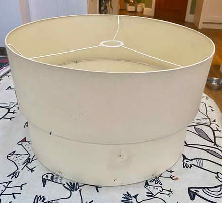 Photo of free Light shade (Cardiff (Canton)) #1