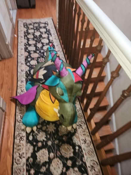 Photo of free Large 48" long stuffed dragon (Capitol Hill, DC) #2