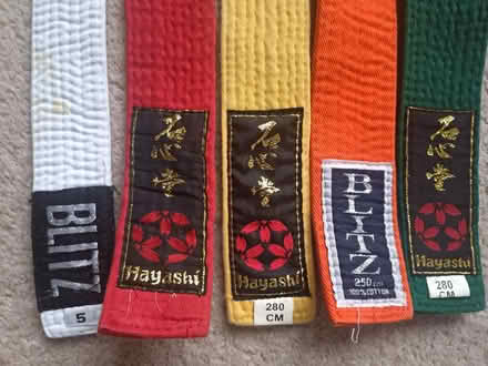 Photo of free Karate/judo belts, small (Allerton L18) #2