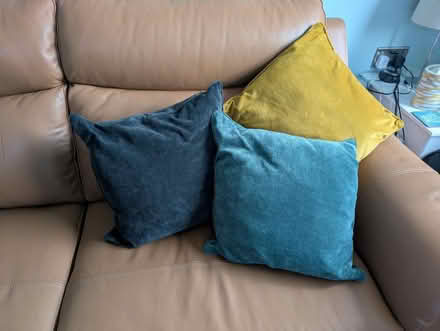 Photo of free Cushions (Kings Heath B14) #1