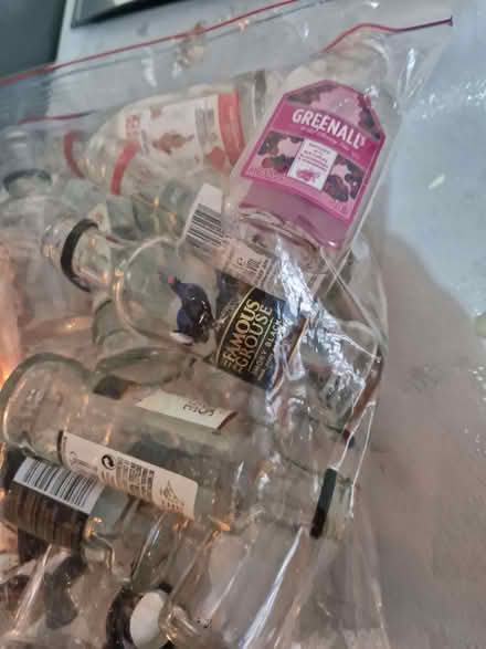 Photo of free Empty miniatures bottles with lids (Smallburgh NR12) #3