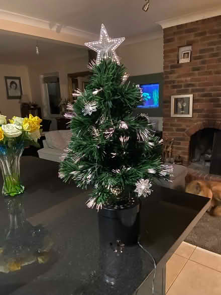 Photo of free Small Christmas Tree (Sheddingdean RH15) #2