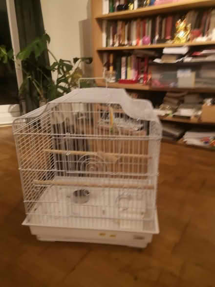 Photo of free Bird Cage (Se15 3jz) #2