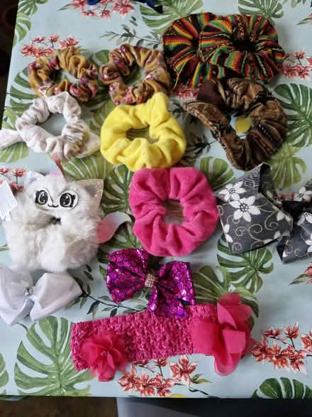 Photo of free Hair bobbles/clips (SK14) #3