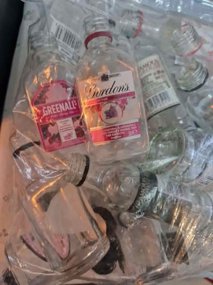 Photo of free Empty miniatures bottles with lids (Smallburgh NR12) #2