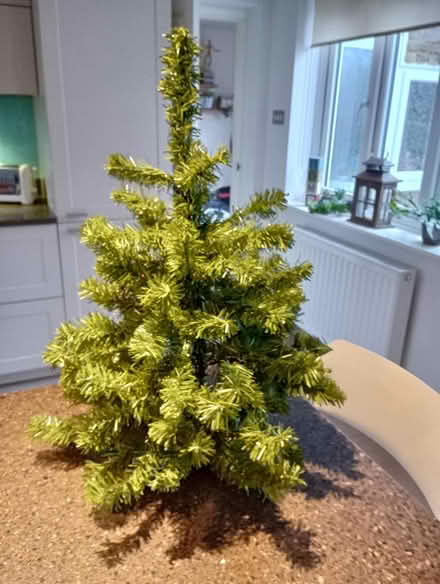 Photo of free Christmas tree (Prestwood HP16) #1