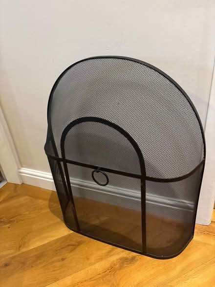 Photo of free Black mesh fireguard (Frodsham, wa6) #1