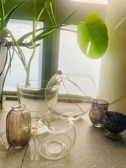 Photo of free Glass vases (Paya Lebar) #1