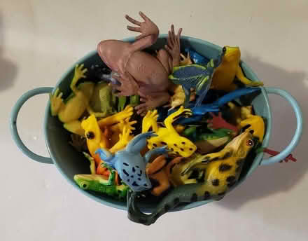 Photo of free Toy frogs (Kirkwood) #1