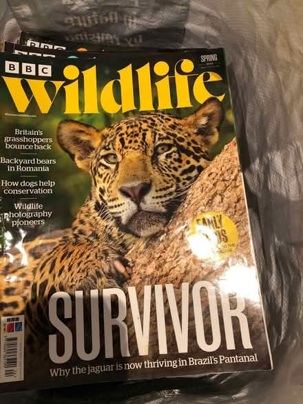 Photo of free Wildlife magazines (Elton BL8) #1