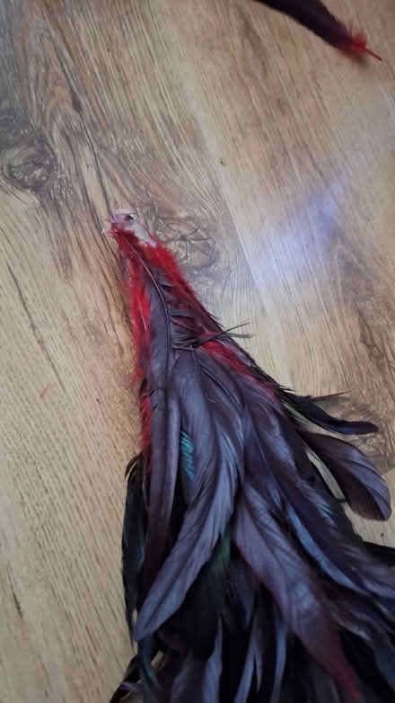 Photo of free Feather Christmas tree (broken) (Westcliff-on-Sea SS0) #3