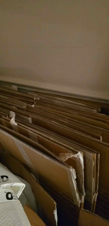 Photo of free Moving boxes (Surbiton KT6) #1