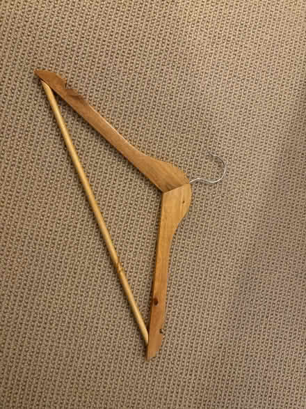 Photo of free Wooden hangers (Partridge Green) #1