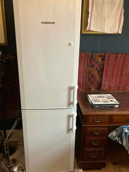 Photo of free Fridge feeezer (Central Norwich) #1