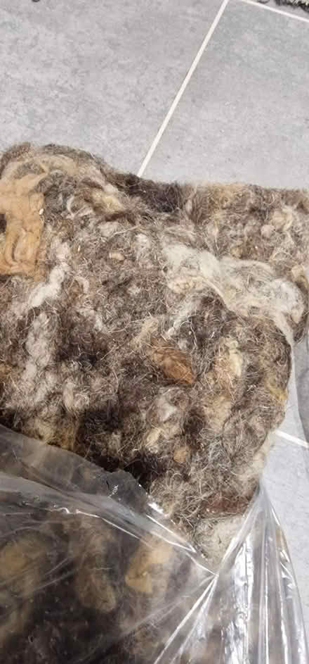 Photo of free Wool insulation (Bradway, Sheffield. S17) #1