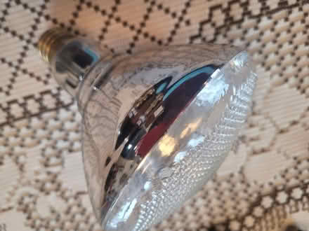 Photo of free incadescent bulb (kiz 7p3) #1