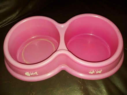 Photo of free Double cat bowl (Frimley) #2