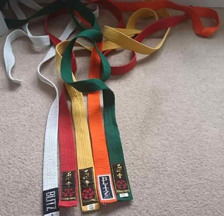 Photo of free Karate/judo belts, small (Allerton L18) #1