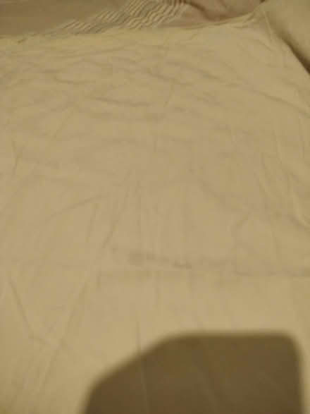 Photo of free Super king and single duvet covers (Clitheroe BB7) #3