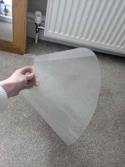 Photo of free Plastic dog cone (M32 stretford) #2