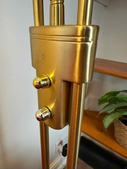 Photo of free Floor Lamp (N4 3DU) #3