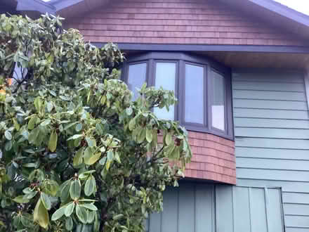 Photo of free Cedarshingles (Northwest Seattle, phinney) #2