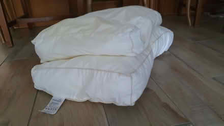 Photo of free 2 old pillows (Broadwater BN14) #2